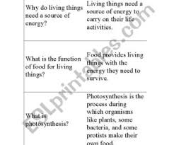 Test and answer key/review questions and answer key in pdf format the test is multiple choice, matching, and short answer. Chapter 5 Photosynthesis And Cellular Respiration Worksheet Answers Tag Photosynthesis And Respiration Worksheet Baljeet Coloring Pages Plants Flowers Cellular Comparison Chapter 5 Answers Atp Webquest Answer Key Oguchionyewu