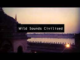 Check out their latest new track, we are golden. Blacklight Dinner Party We Are Golden Youtube