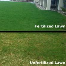 Read & discover our reviews of best quality & cheapest grass seed brands for you lawn, yard, garden. Do I Need To Fertilize My Lawn Every Year Yes And Here Are Some Tips On How To Do It Correctly