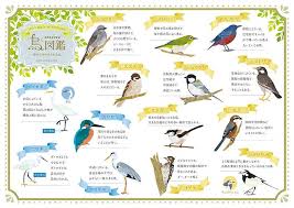 こゆら on twitter ネットプリント プリント 図鑑
