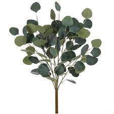 Players can obtain 12 flowers or capture six pictures of a 'red item' to complete the event. Eucalyptus Bush Hobby Lobby 113886