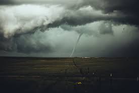 I won't duplicate the excellent coverage. How To Build A Rest Api In Python With Tornado Part 1 By Richard Oliver Bray Octopus Labs London Medium