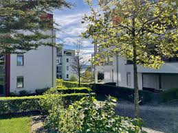 Viele mittelalterliche bauten bereichern das stadtbild. Alle Der Wohnung Kaufen Bodensee Konstanz