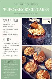 See more ideas about healthy birthday cakes, birthday cake alternatives, healthy birthday. Your Ultimate Guide To Throwing The Best Dog Birthday Party Ever