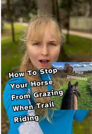 How to Stop My Horse from Throwing Food Out of His Bucket