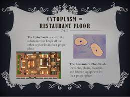 Cell organelles cornell doodle notes city analogy with powerpoint. Cell Analogy Example