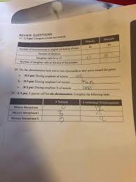 Meiosis is the other main way cells divide. Solved Can You Help Me With This Worksheet I M Not Too S Chegg Com