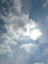 Cheval Volant Dans Le Ciel Parisien Paris Cote Jardin Ciel Cheval Paris