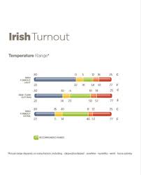 irish turnout