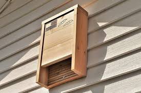 Better known as the woodland malaria mosquito, females prefer birds and mammals to feed on. How To Attract Bats To Your Yard How To Make A Bat Box