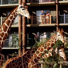 Disney S Animal Kingdom Villas Kidani Village Animal Kingdom Disney Disney Animal Kingdom Villas Disney Animal Kingdom Lodge
