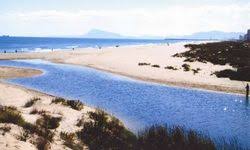 Xeraco Sanciona A Varias Personas Por Ir Con Perros A La Playa Tele Safor