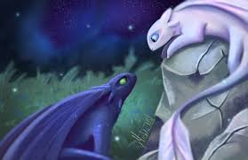 Toothless And His Light Fury White Night Fury Mate In The Night How Train Your Dragon How To Train Your Dragon How To Train Dragon