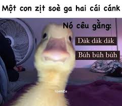 Quặc quặc, quạc quạc con vịt, con vạc có thương em tao thì lội xuống ao bắt ba con ốc thì lội xuống rộc bắt năm con. Má»™t Con Zá»‹t Soe Ga Hai Cai Cank No Ceu Gáº±ng Dáº£k Dáº£k Dáº£k Bá»§h Bá»§h Bá»§h áº£nh Cháº¿ Meme