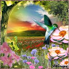 Résultat de recherche d'images pour "gif nature soleil"