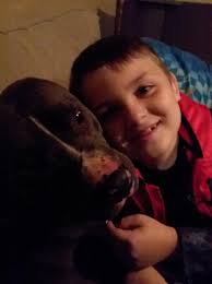 Lost or stolen dog between Oktaha and Keefeton. Reward!