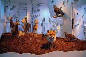 Des erholungszentrums für die in berchtesgaden stationierten us. Haus Der Berge Nationalpark Berchtesgaden Kimapa