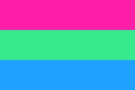 The nonbinary pride flag has four stripes: 30 Different Pride Flags And Their Meaning Lgbtq Flags Names