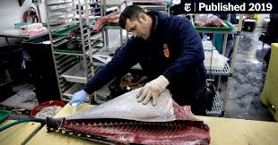All the football fixtures, latest results & live scores for all leagues and competitions on bbc sport, including the premier league, championship, scottish premiership & more. Cutting Up Big Fish And Cultivating An Even Bigger Fan Base The New York Times