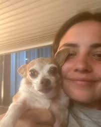 We love our puppies as our own and have a wide selection of over 60 breeds available with new puppies every week. Dachshund Rescue South Florida Fundrazr
