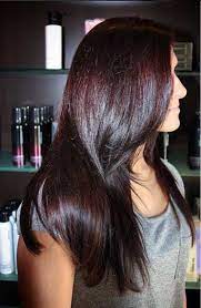While the deep shade of mahogany acts as a base, bright streaks of copper accent it to create a fiery effect. Pin On Hair