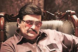 दाऊद इब्राहिम, छोटा राजन ते माया डोळस, अंडरवर्ल्ड डॉनवर बनलेल्या 'या' आठ  चित्रपटांची कमाई किती?