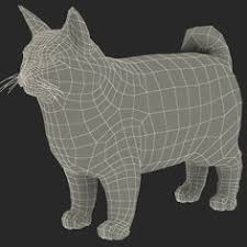 Someone who works with 3d models may be referred to as a 3d artist. 8 Cat 3d Reference Ideas