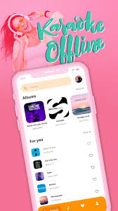 Imagine a collection of 2,000 music cds stored in plastic cases on a bookshelf, reduced to just one slender computer hard drive. Karaoke Music Karaoke Offline With Lyrics For Android Apk Download