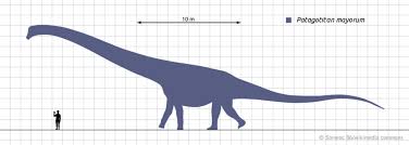Ark id for titanosaur is titanosaur_character_bp_c. Largest Land Animal Titanosaur Does God Exist Today