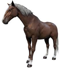 Rdr2 : Rare Perlino Andalusian : Brave War Horse Adventures: Valor And  Loyalty - Youtube