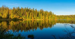 The entrance to deception pass state park is conveniently located a short 10 miles and 20 minutes from downtown anacortes. 20 Best Things To Do In Anacortes Wa