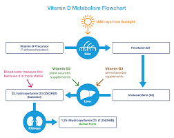 Market at this time  37 . Vitamin D Deficiency Symptoms Supplements Foods Drugs Com