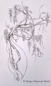 Large Wisteria Flower Theme Pack Stencil C Etsy Flower Drawing Wisteria Wisteria Design