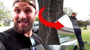 How To Keep Rodents From Climbing Your Tree Youtube
