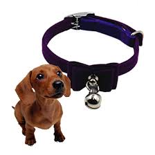 Cat Collar Pikolai Hot Cute Bow Bell Bell Collar Small Dog Collar Cat Collars Awesome Cat Product Click The Image Small Dog Collar Cat Collars Small Pets