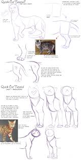 See more ideas about drawing tutorial, drawings, art reference. Quick Cat Anatomy Tutorial By Addictionhalfway On Deviantart