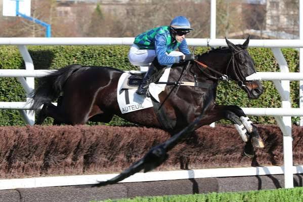 Arrivée PMU Pick5 Prix d'Indy (Gr. III), dimanche à Auteuil. LOSANGE BLEU, en champion