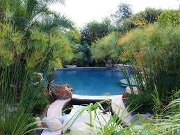 We are a full service company with years of professional experience, contacts, references and we specifically are here for your ponds and water feature creations. 2016 San Diego Spring Garden Tour Garden Design