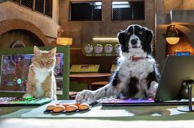 Cats Dogs 3 Paws Unite Review Pop Culture Maniacs