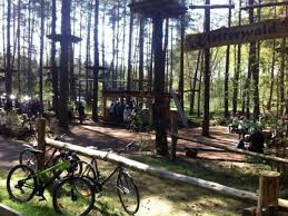 Die 9 Besten Kletterziele In Berlin Und Brandenburg Klettern Brandenburg Wald