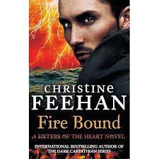 Amazon.com: Bound Together: 9780349416458: Books