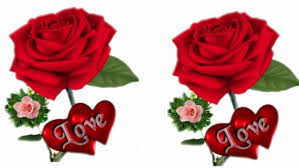 We have put together a large collection of wonderful animated pictures of flowers, buds, bouquets. Whatsapp Profile Pic In Flowers 1920x1080 Wallpaper Teahub Io