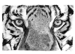 Take the stripes darker with a grey mix of brown and blue. Gallery Jessica Lebo Art