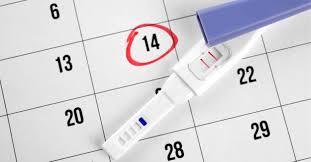 If there's a faint line, it means you may be early in pregnancy. When To Take A Pregnancy Test For The Best Result Bellybelly