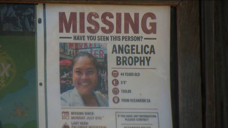 Search continues for missing Oceanside mother Angelica Brophy, volunteers  and law enforcement comb Palomar Mountain