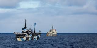 sea shepherd global