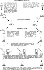 Flow Chart Showing Methods And Techniques Used To Immobilize