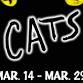 CATS event image