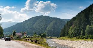 You can be confident in knowing that don roberto jewelers is a verified authorize.net merchant. Landschaft Der Karpaten In Der Ukraine Kawe Kurier Online