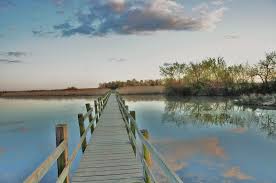 Etang De L Or Vers Candillargues C G Lebreton Tourisme Balade En Famille Paysage